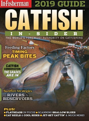 Catfish Guide 2020