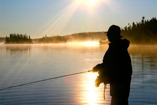 WFN New Fly Fisher