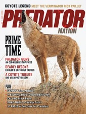 predator-nation-1-2022