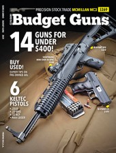 budget-guns