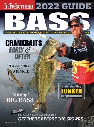 Bass Guide