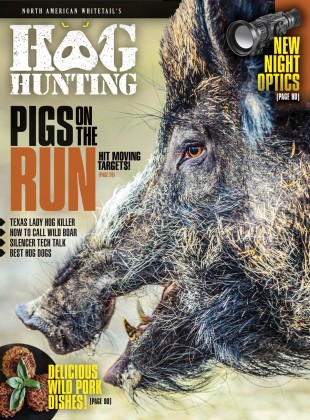 Hog Hunting #2 - Outdoor Sportsman Group