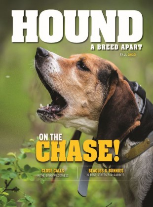 2023-hound