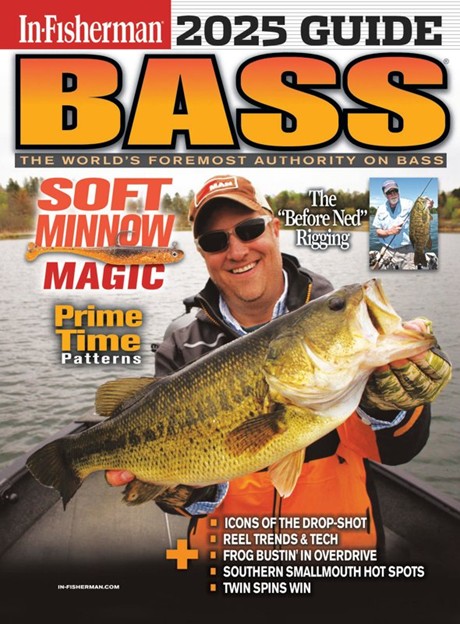 Bass Guide